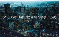 文化传说：韩国g奶空姐的故事 · 历史509