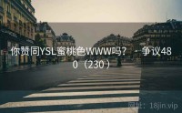 你赞同YSL蜜桃色WWW吗？ · 争议480（230 ）