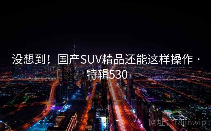 没想到！国产SUV精品还能这样操作 · 特辑530