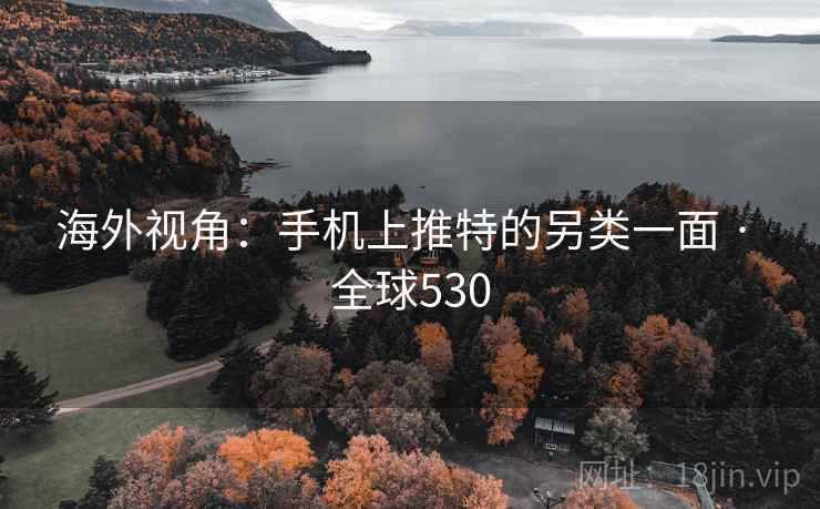 海外视角：手机上推特的另类一面 · 全球530